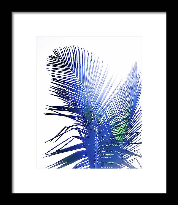 Azure Palms Design - Framed Print