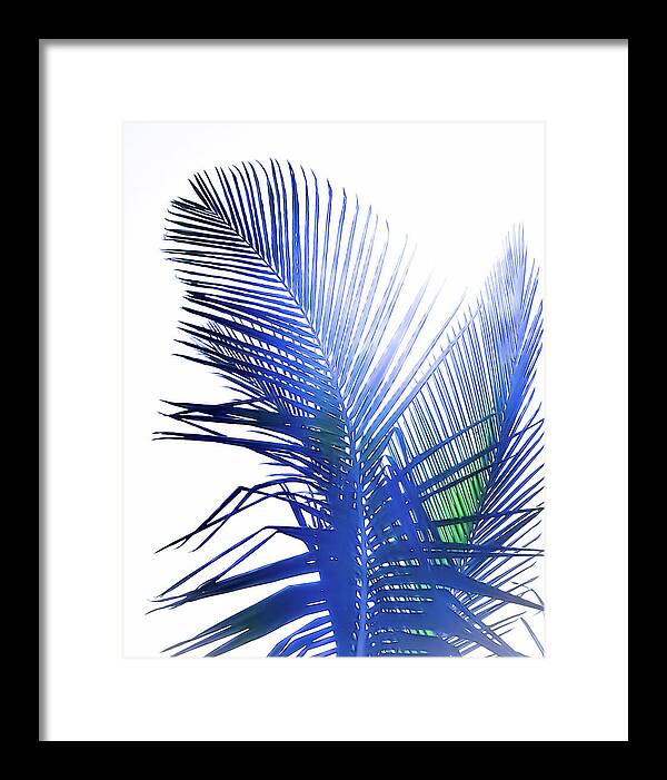 Azure Palms Design - Framed Print