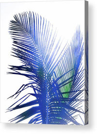 Azure Palms Design - Acrylic Print