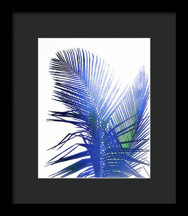 Azure Palms Design - Framed Print