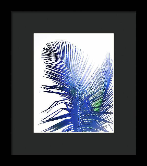 Azure Palms Design - Framed Print