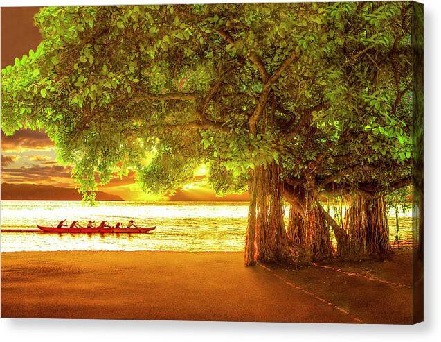 Banyan Beach - Canvas Print Canvas Print 1ArtCollection