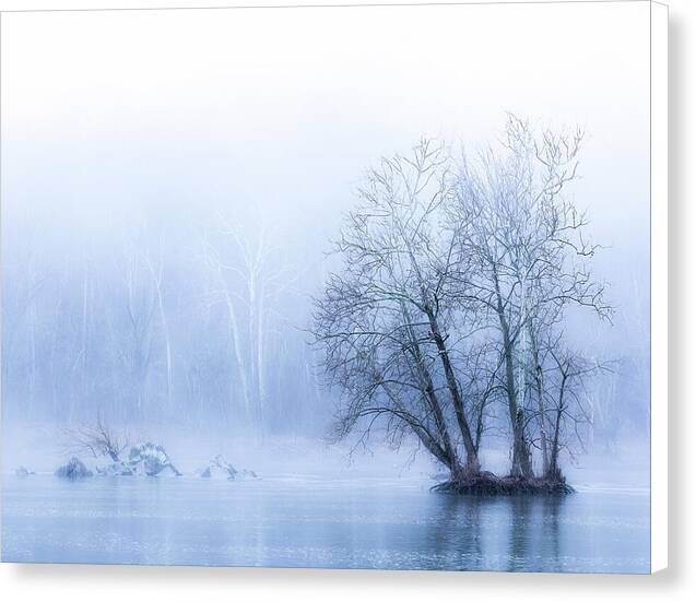 Blue Winter Fog on the River - Canvas Print