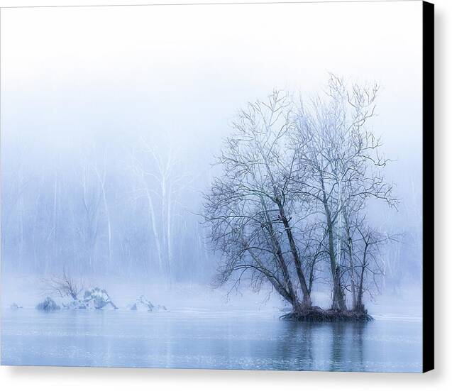 Blue Winter Fog on the River - Canvas Print