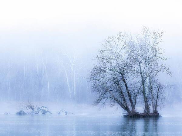 Winter Fog on the River - Blue - Art Print