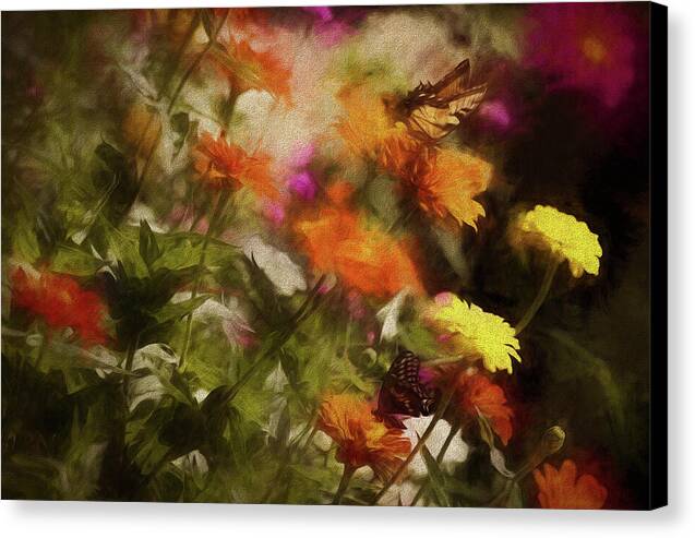 Butterflies in the Garden - Canvas Print