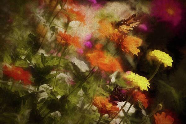 Butterflies in the Garden - Art Print