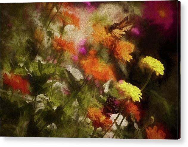 Butterflies in the Garden - Acrylic Print