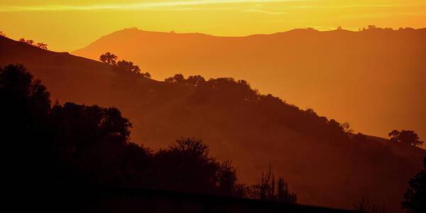 California Canyons Gold - Art Print