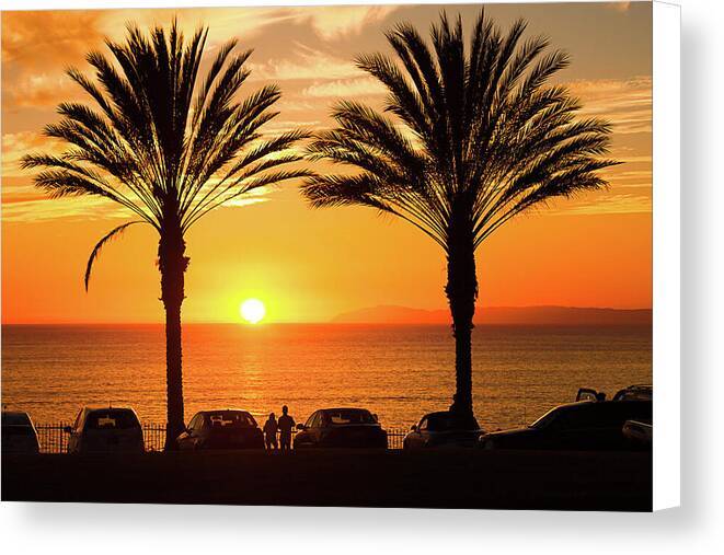 California Dreaming - Canvas Print