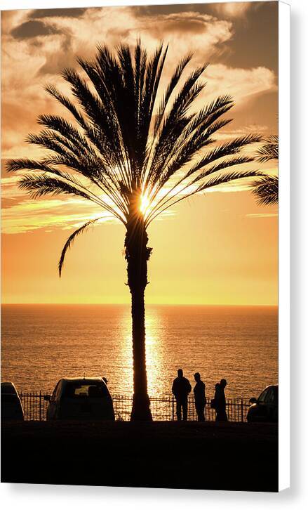 California Sunset - Canvas Print