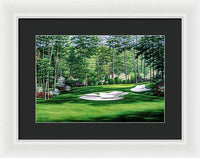 Camellia No. 10, Augusta National - Framed Print