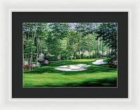 Camellia No. 10, Augusta National - Framed Print