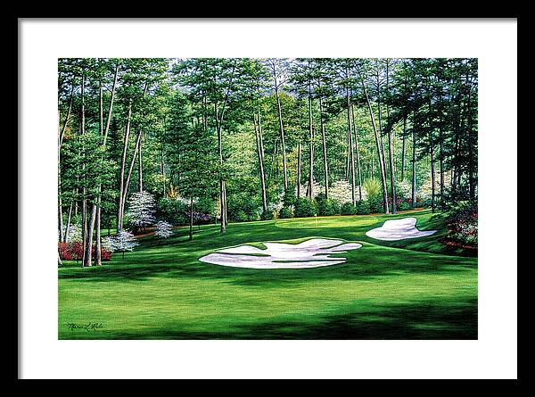 Camellia No. 10, Augusta National - Framed Print