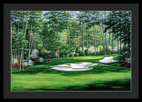 Camellia No. 10, Augusta National - Framed Print