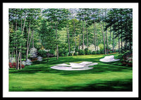 Camellia No. 10, Augusta National - Framed Print