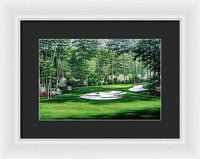 Camellia No. 10, Augusta National - Framed Print