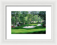 Camellia No. 10, Augusta National - Framed Print