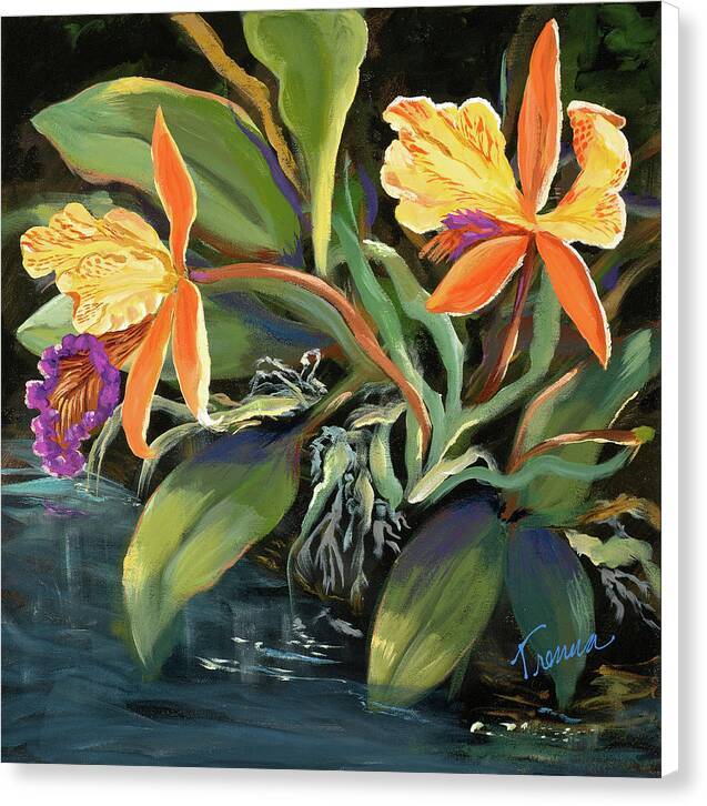 Cattleya Dowiana - Canvas Print Canvas Print 1ArtCollection