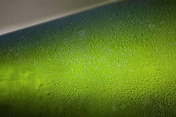 Chilled wine in green bottle - Art Print