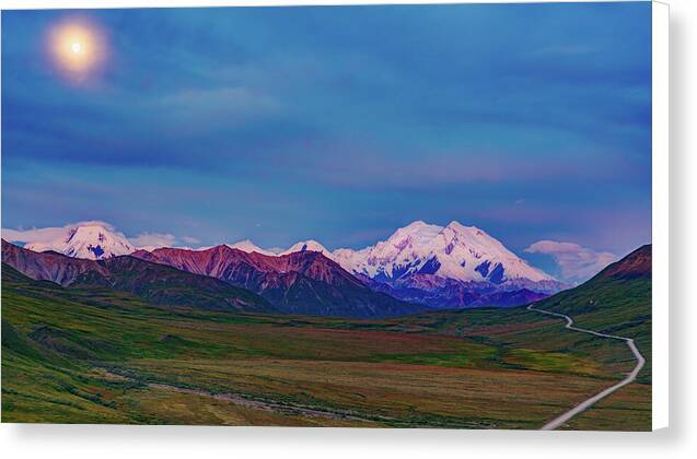 Denali Bathed in Moonlight - Canvas Print