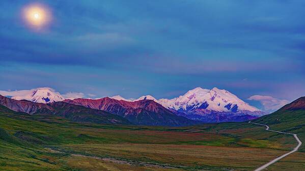 Denali Bathed in Moonlight - Art Print