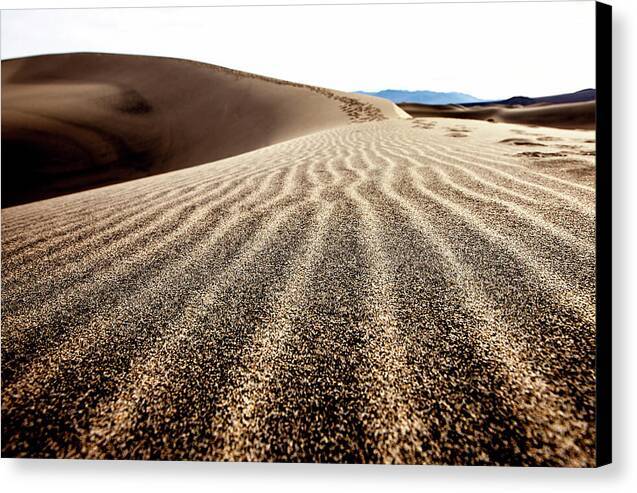 Designs in the Sand - Canvas Print Canvas Print