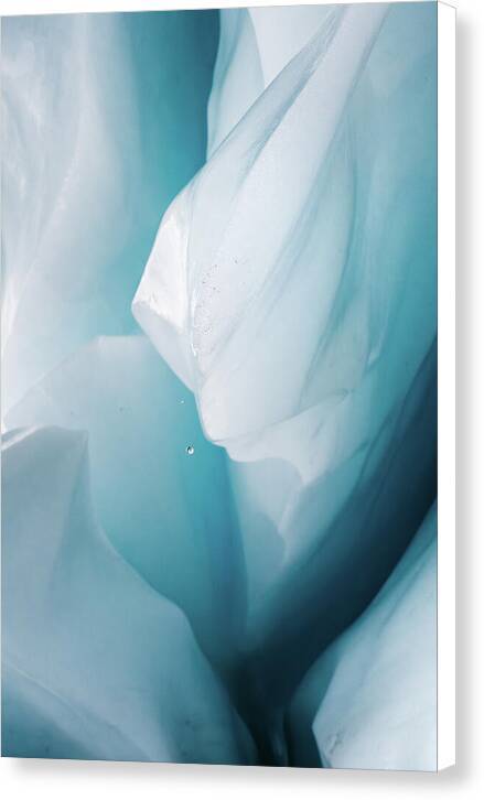 Drop of Ice - Canvas Print