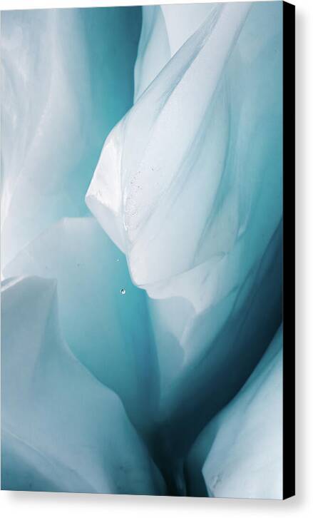 Drop of Ice - Canvas Print