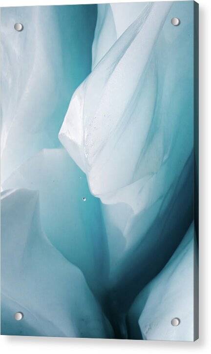 Drop of Ice - Acrylic Print