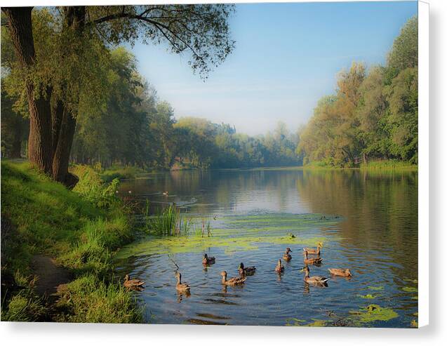 Duckscape - Canvas Print