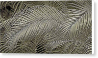 Etched Gold Palms Design 1 - Canvas Print