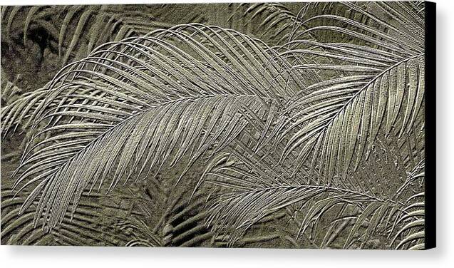 Etched Gold Palms Design 1 - Canvas Print