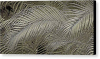 Etched Gold Palms Design 1 - Canvas Print