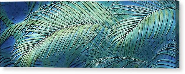 Etched Palms Panorama-BG - Canvas Print