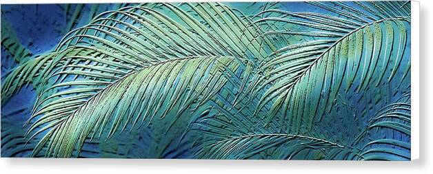 Etched Palms Panorama-BG - Canvas Print