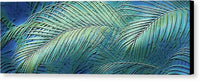 Etched Palms Panorama-BG - Canvas Print