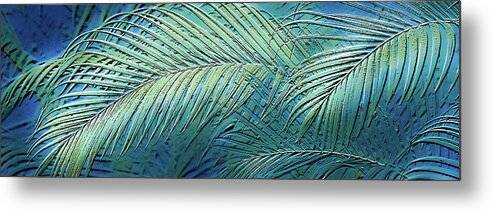 Etched Palms Panorama-BG - Metal Print