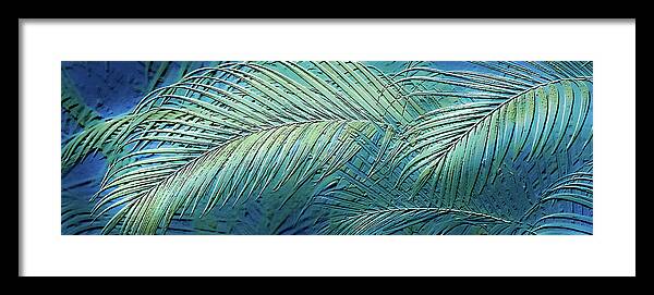 Etched Palms Panorama-BG - Framed Print