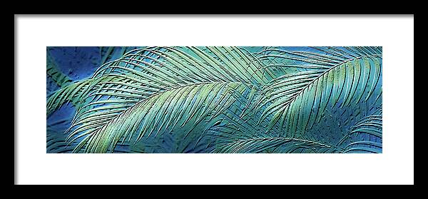 Etched Palms Panorama-BG - Framed Print