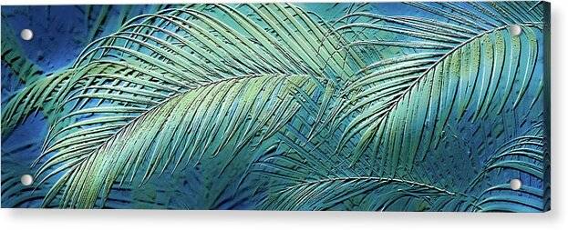 Etched Palms Panorama-BG - Acrylic Print