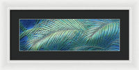 Etched Palms Panorama-BG - Framed Print