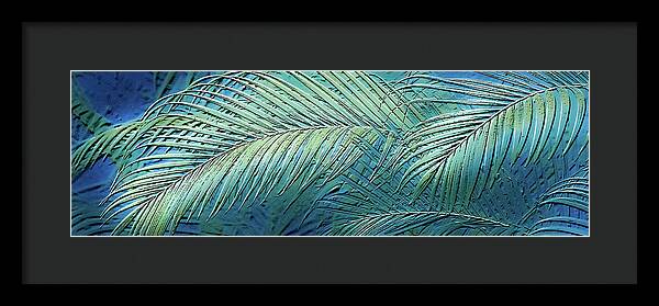 Etched Palms Panorama-BG - Framed Print