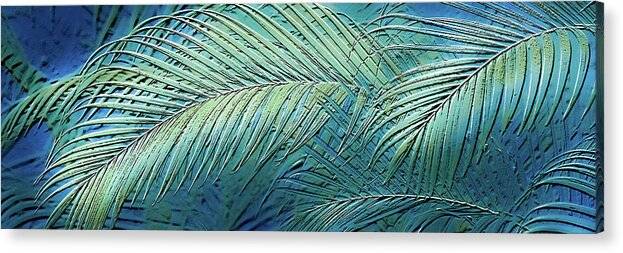 Etched Palms Panorama-BG - Acrylic Print