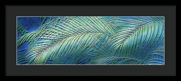 Etched Palms Panorama-BG - Framed Print