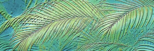 Etched Palms Panorama-GreenGold - Art Print