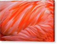 Flamingo Design - Canvas Print