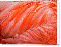 Flamingo Design - Canvas Print