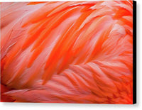 Flamingo Design - Canvas Print