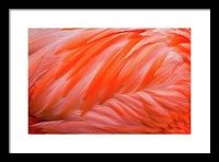 Flamingo Design - Framed Print